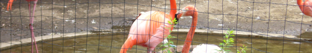 ふるさと納税について話題提供